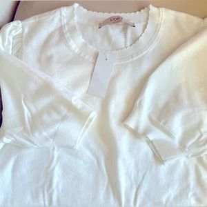 LOFT Scalloped Sweater Tee. Short sleeved. White. Medium.